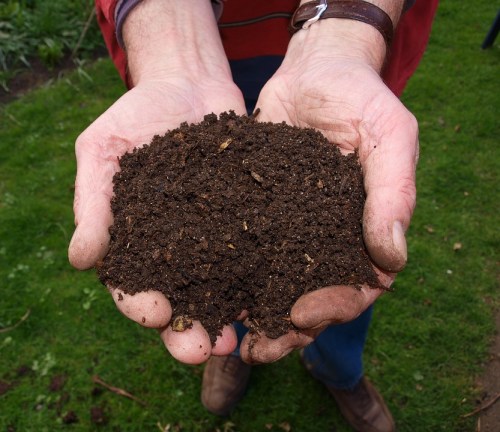 two hands full of rich dark compost
